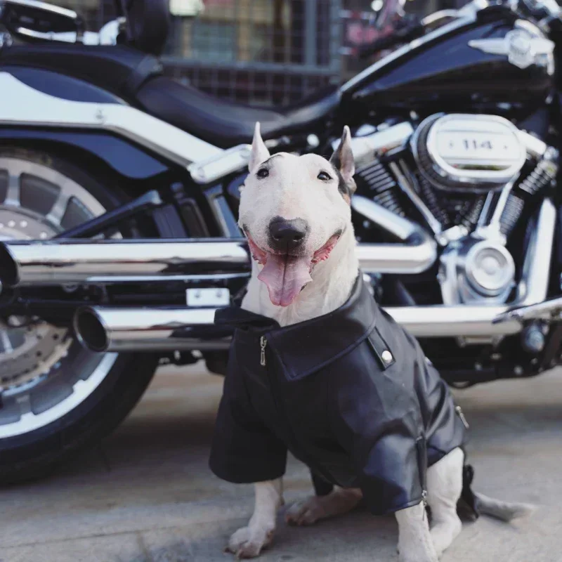 Leather Dog Coat Jacket Winter Pet Clothes Shiba Inu Welsh Corgi Bull Terrier Samoyed Husky Golden Retriever Dog Costume Outfit