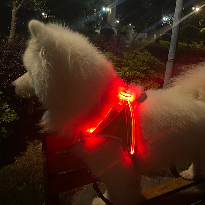 Luminous Dog Harness USB Rechargeable Chest Harness LED Pet Dog Glow Flashing Night Safety Leash Harness for Pets Dogs Accessory