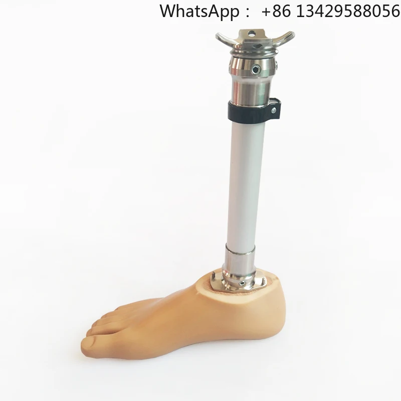 

Prosthetic Lower Leg Stainless Steel Below Knee Prosthetic Orthopedic Leg BK Set with or Without Foot