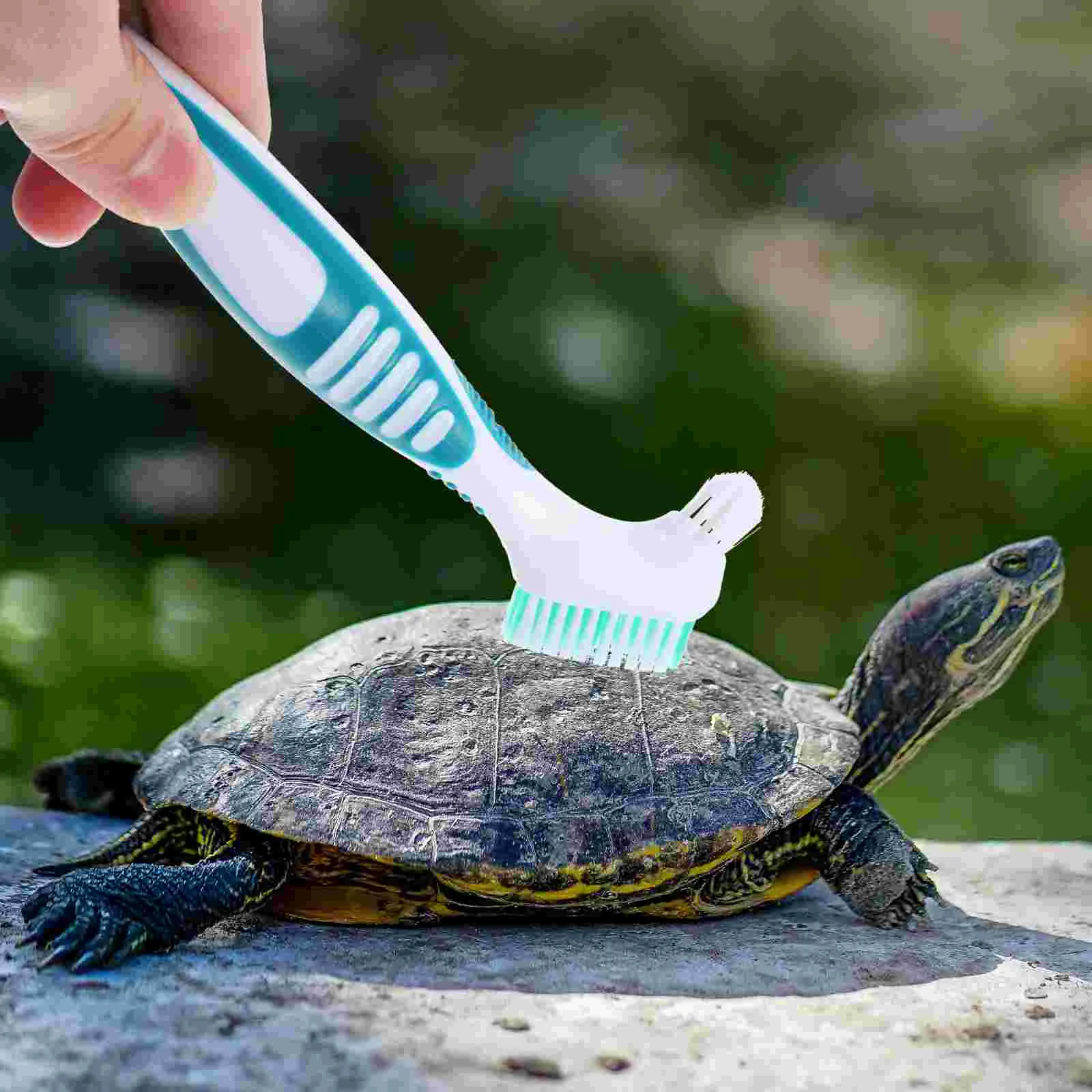 Double Sided Brush Turtle Shell Cleaning Cleanser Multi-functional Mini Household Brace