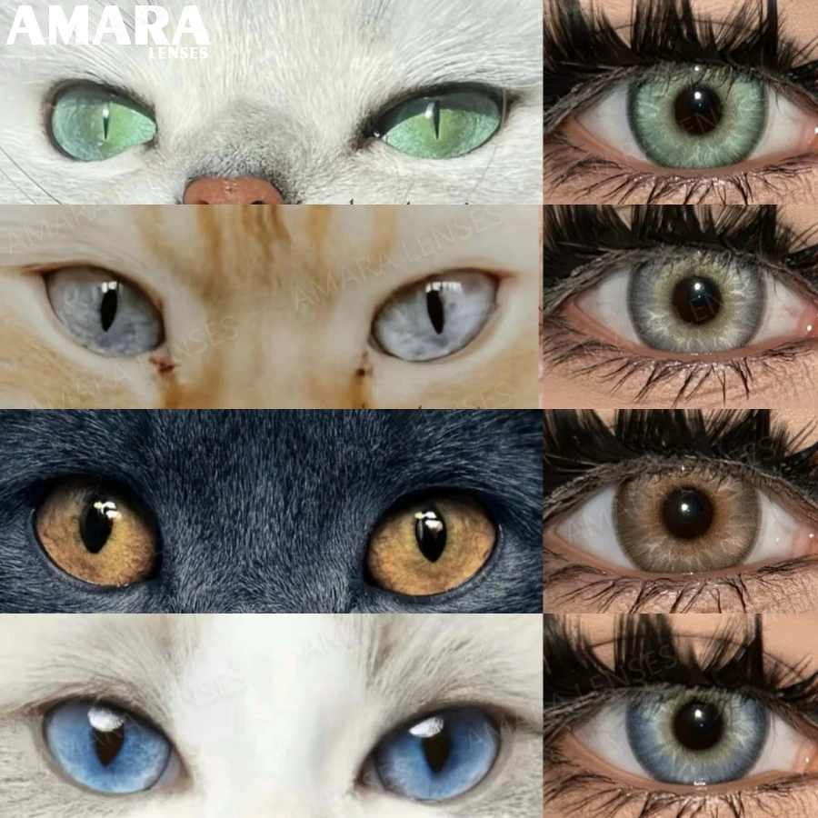 AMARA Natural Beauty Pupils Lentes de contacto grises para ojos Lentes Contactos marrones coreanos 2 uds 1 año Moda Green Pupilentes