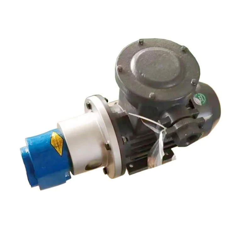 CB-B63 Electric High-Pressure Pump Stainless Steel 304 Non-Standard Food Grade Gear Pump with 20mm Outlet