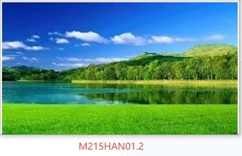 

LCD screen 21.5" New LCD screen model M215HAN01.2 IPS FHD 1920*1080