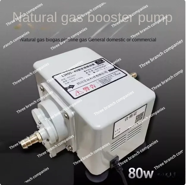 Pompa booster a gas naturale gas commerciale biogas pompa booster speciale scaldabagno domestico pompa a pressione Booster gas