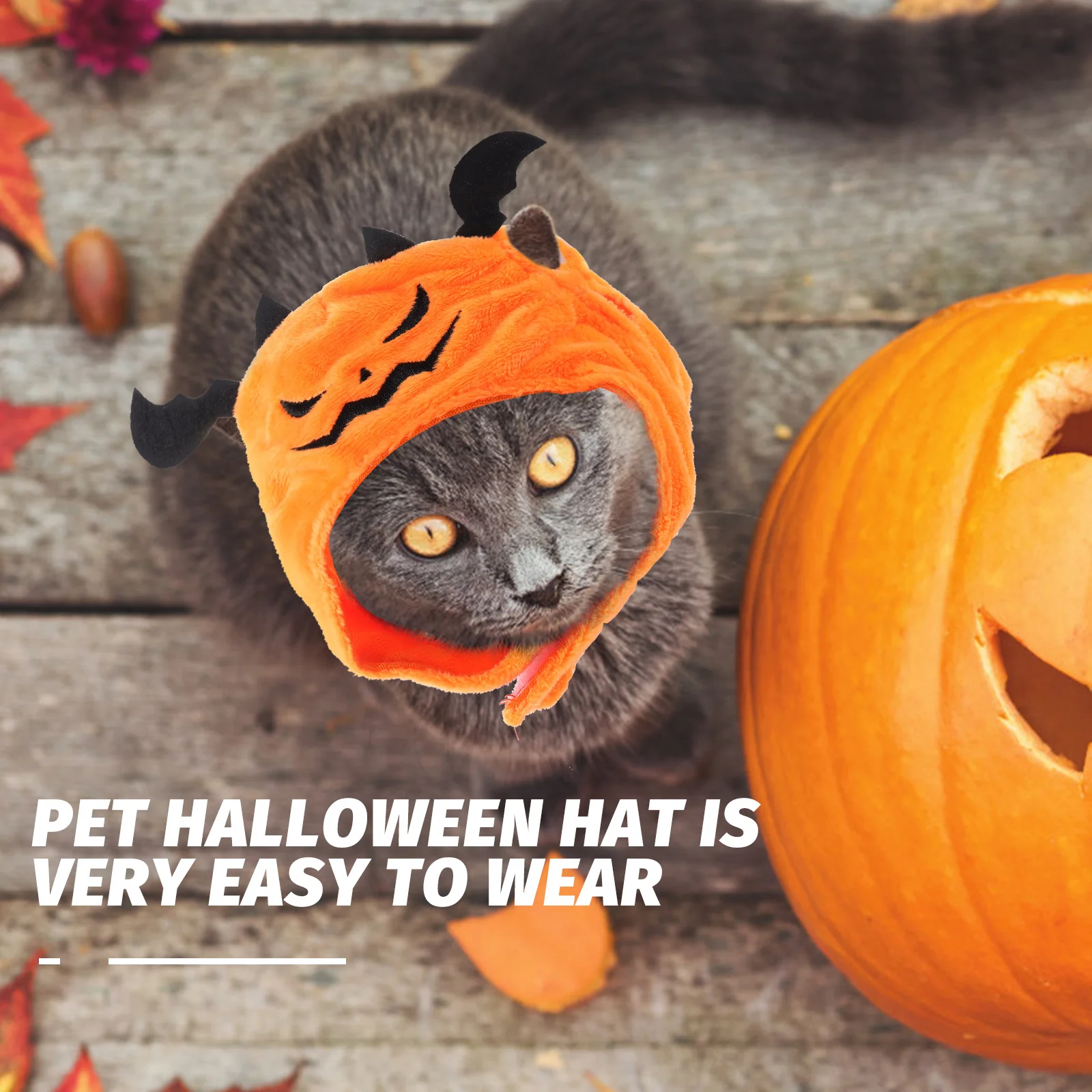 

Hats Halloween Costume Accessories Cat Accessory Pet Clothing Kitten Puppy Costumes