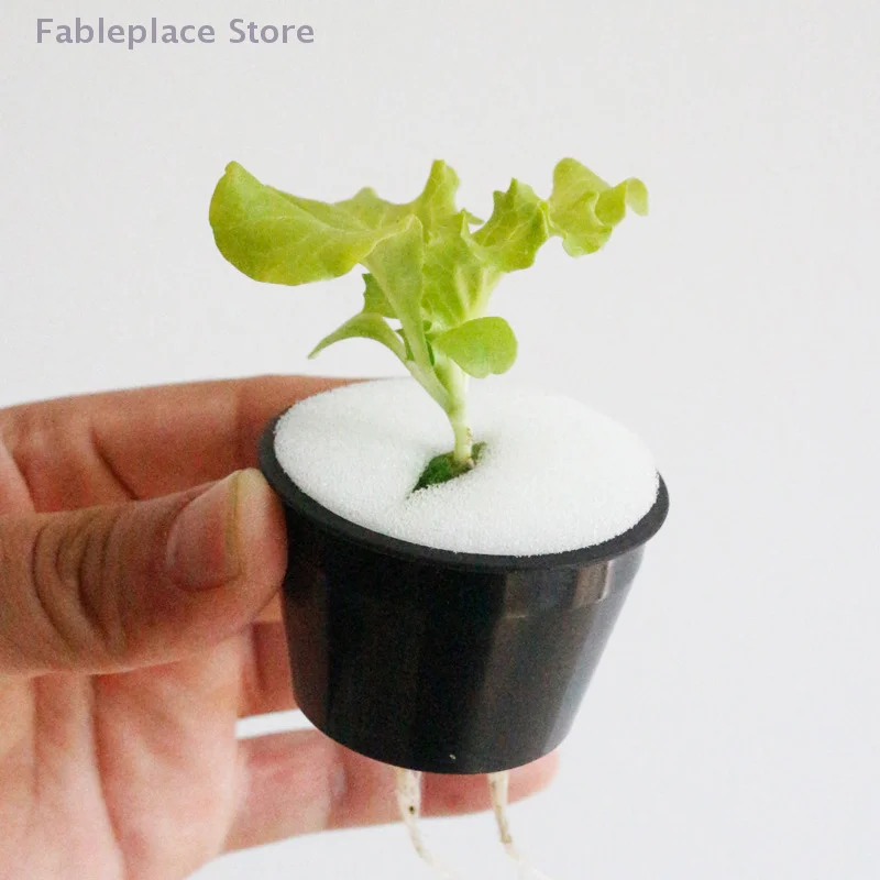 

10 Pcs White Hydroponic Sponge Soilless Hydroponic Vegetable Growing Tool Block Plant Vegetable Root Protection Sponge