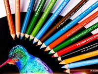 U.S. PRISMACOLOR single colored pencils drawing sketching Pencils student pencils Art Supplies Student Supplies