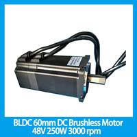 BLDC 60mm 48V 250W DC Brushless Motor 3000 rpm 0.79N.m Motor Length 120mm