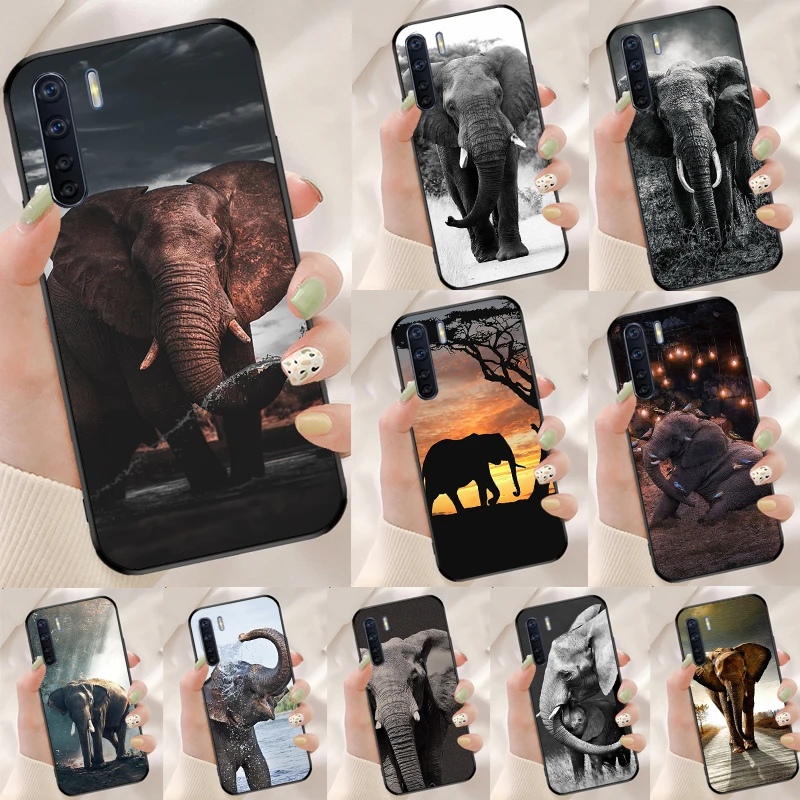 Indian Animal Eleph… - image