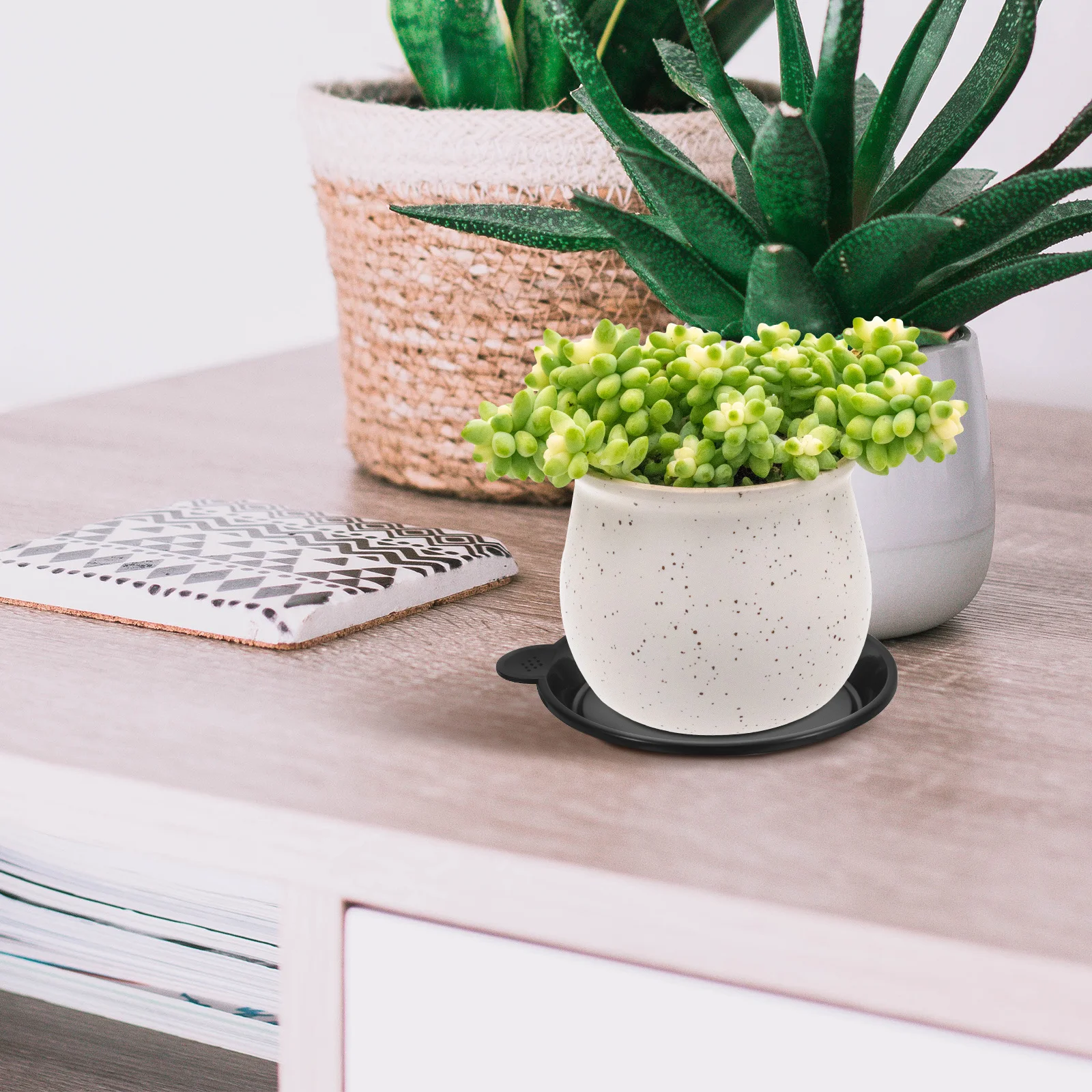 

10pcs Succulent Plant Pot Saucer 8.2Cm Black Plastic Drain Tray For Bonsai Garden Indoor Outdoor Flowerpot Base Deep Slot