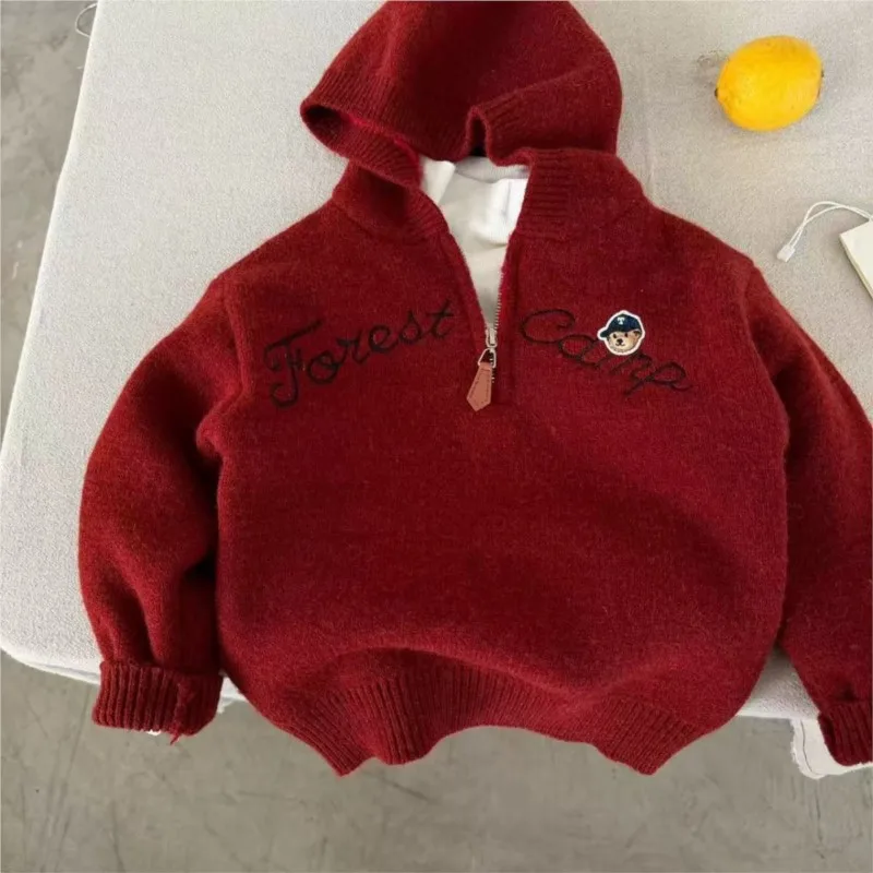 موضة طفلة الصبي مقنعين هوديي الصوف داخل الرضع طفل رضيع سميكة البلوز ربيع الخريف ملابس الطفل غير رسمية 1-10Y #6