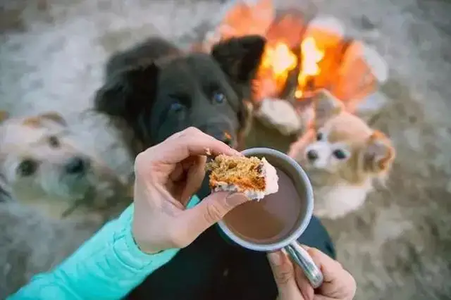 

FOR 1/10 YK4106/YK4107 RC Cars Metal Front Rear Shock Absorber Brackets Made of Aluminum Shock Absorption Performance for RC Car