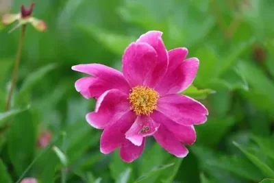 

86100 1/10 RC Car spare parts gear Shell column Drive shaft Pull rod tires Shock absorber Rearview mirror wiper set