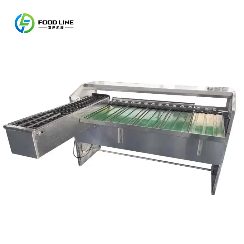 Customized Automated Egg Processing Line Industrial Egg Sorting Grader High Speed Precision Weighing Sorter for Chicken Farm