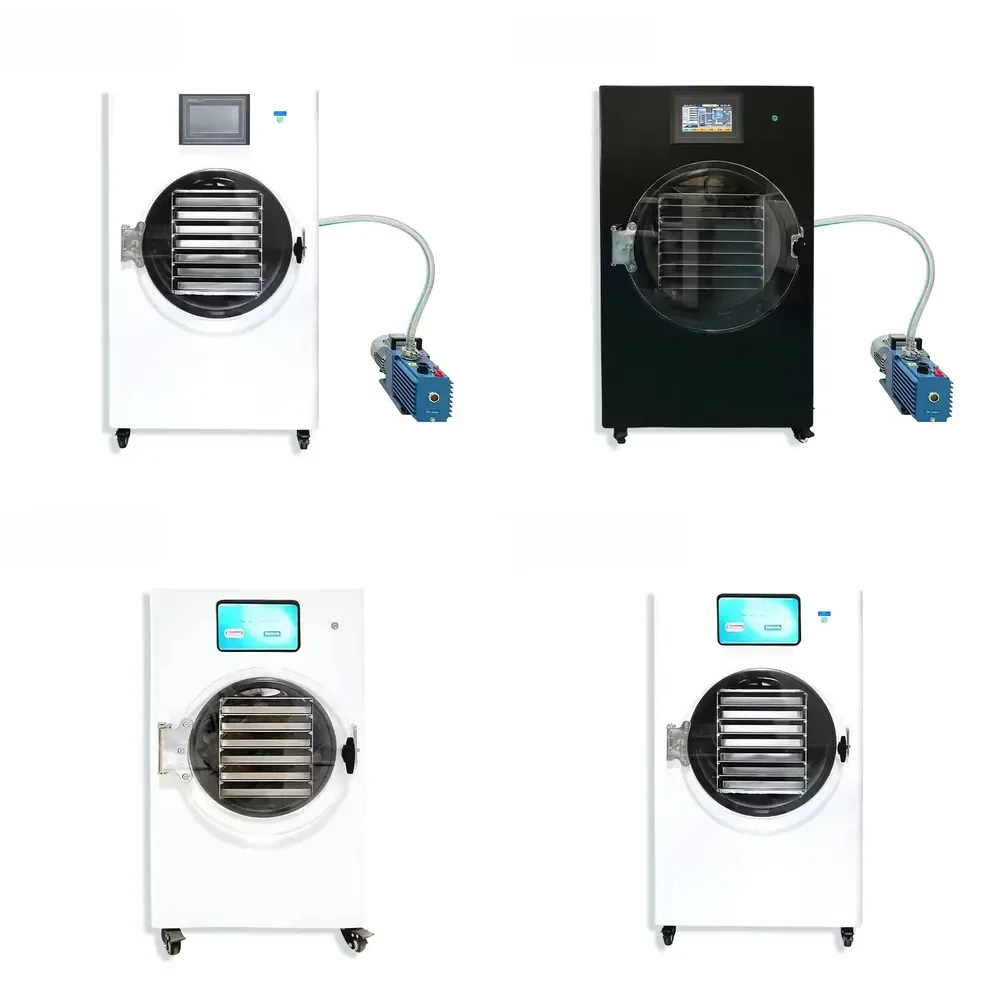 Commercial Small Scale Vacuum Dryer for Home and Professional Use for Food Preservation