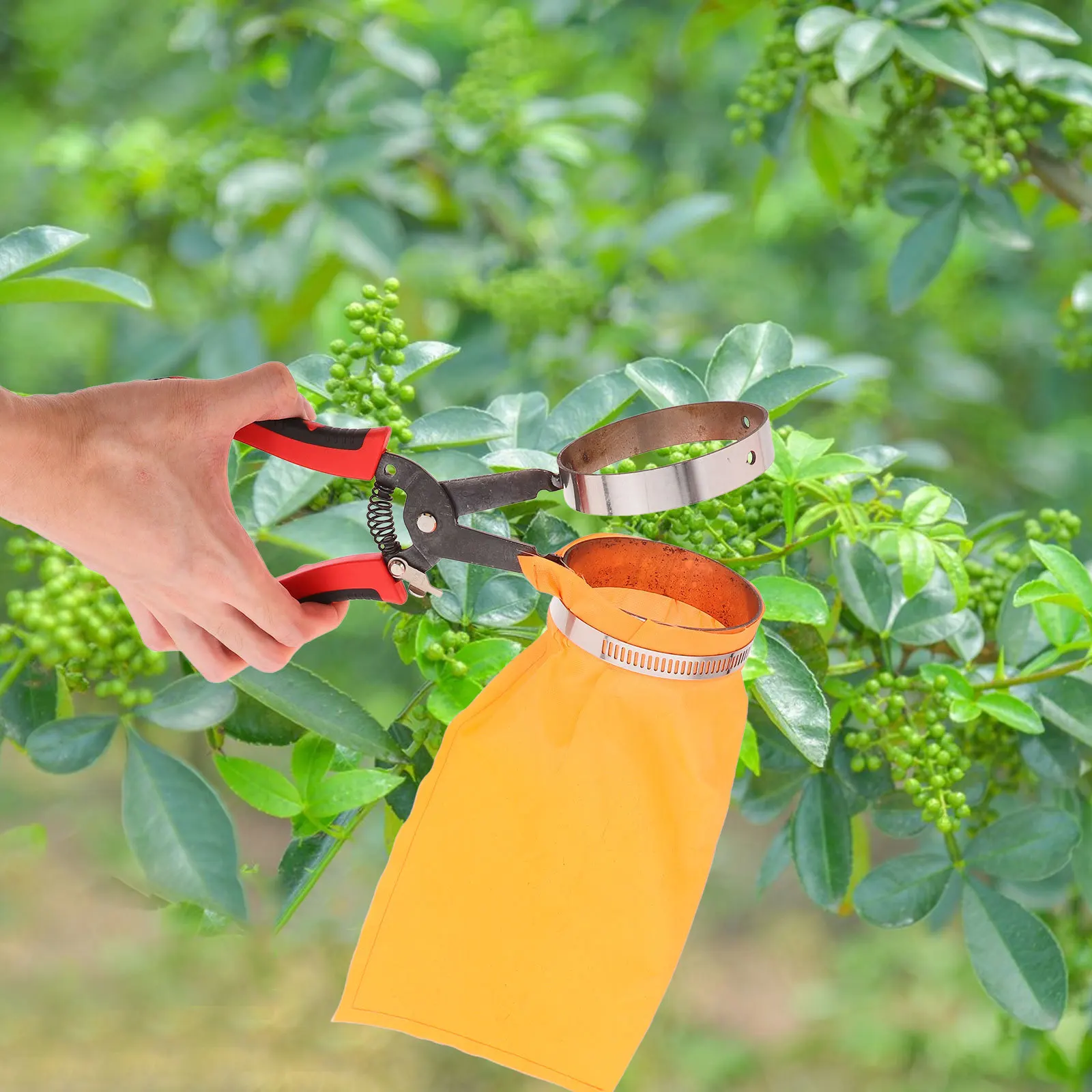 

Fruit Blueberries Berry Picking Blower Flat Nozzle Collector Acorn Picker Upper Avocado