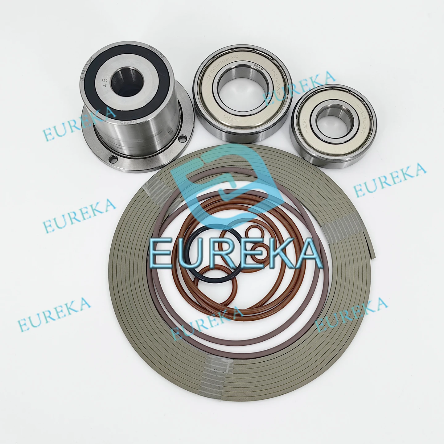 Baosi Scroll Pump IDSP6 IDSP10 IDSP16 tip seal scroll IDSP36 IDSP45 Seal kit  Maintenance DSP3 Bearing repair kit