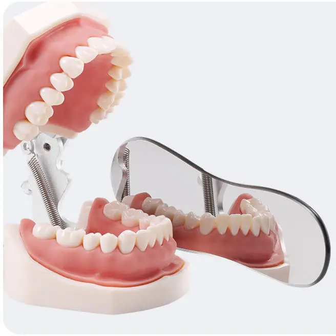 Intraoral reflector, orthodontic double-sided glass mirror, thickened and polished oral mirror, maxillofacial