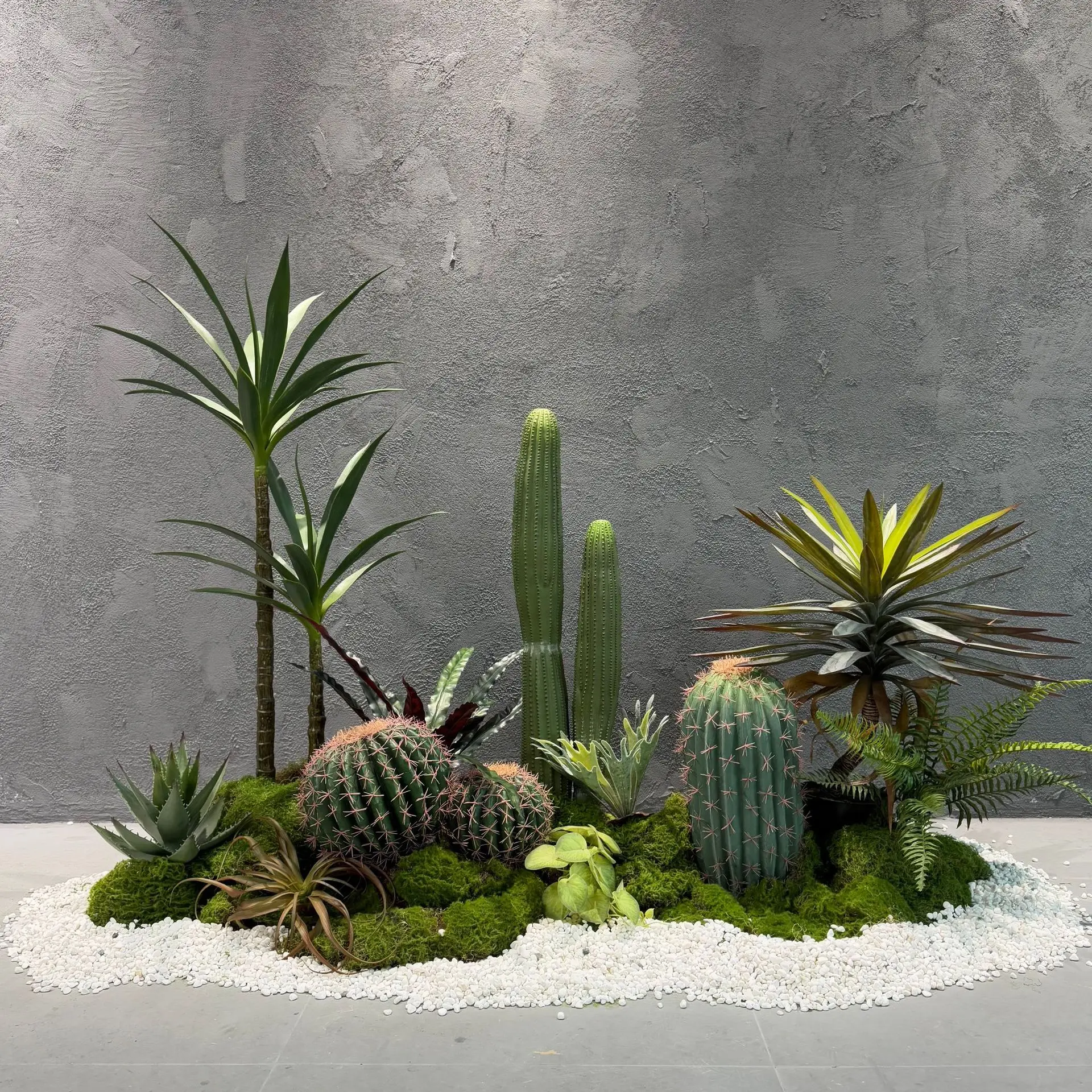 Green plants landscaping combination indoor tropical plants cactus hemp phoenix tail