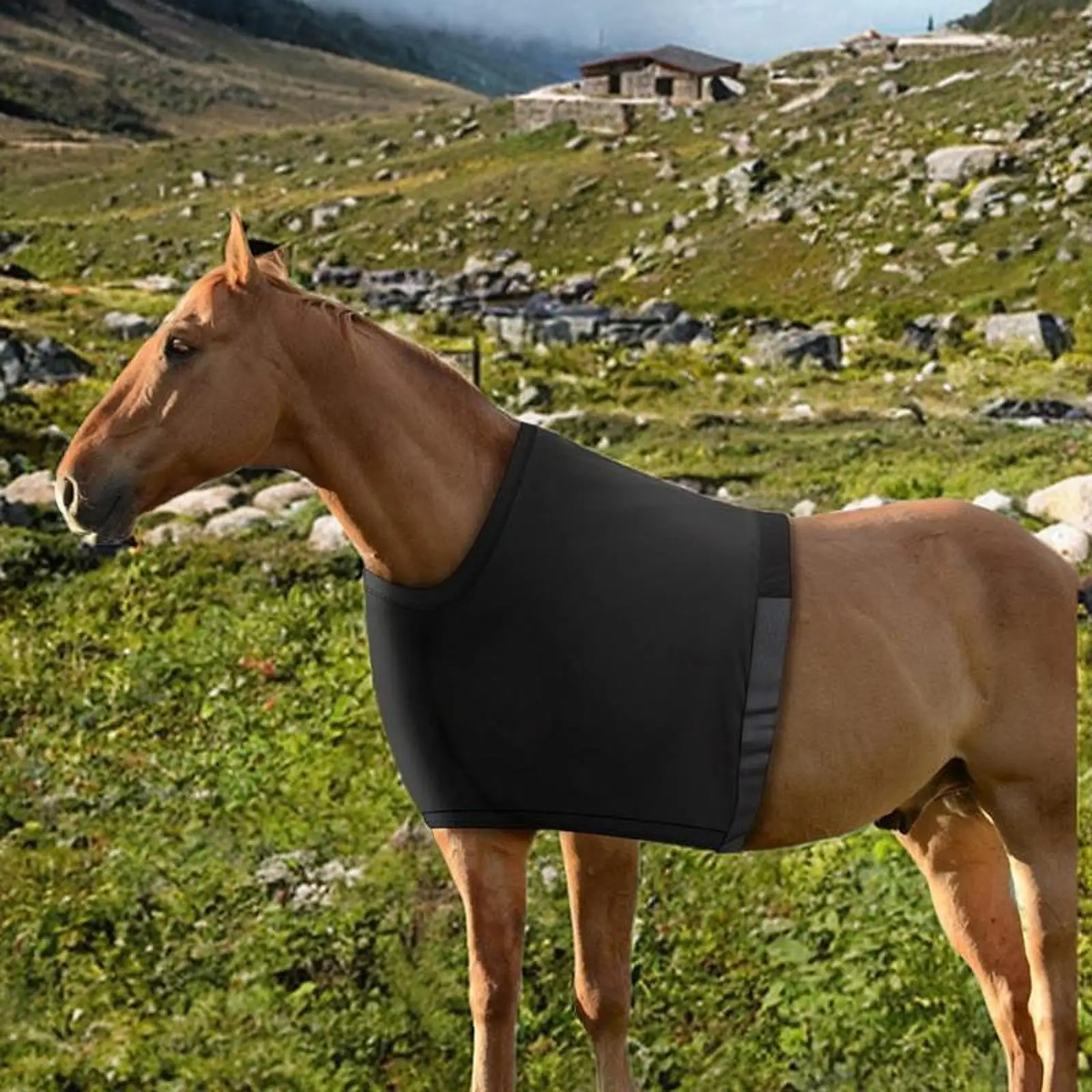 Protector de hombro para caballo, accesorios ecuestres de ajuste de liberación rápida, elástico, reutilizable, protección marchita, babero antifrotamiento