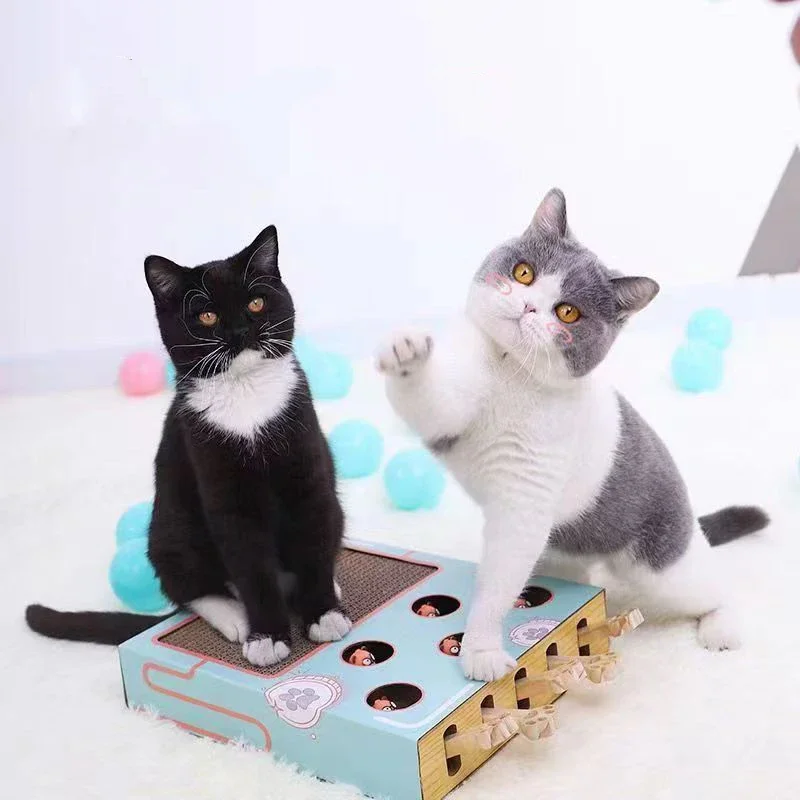 Interactive Cat Toy with Scratching Board Fun Hamster Machine Game for Kittens and Pets