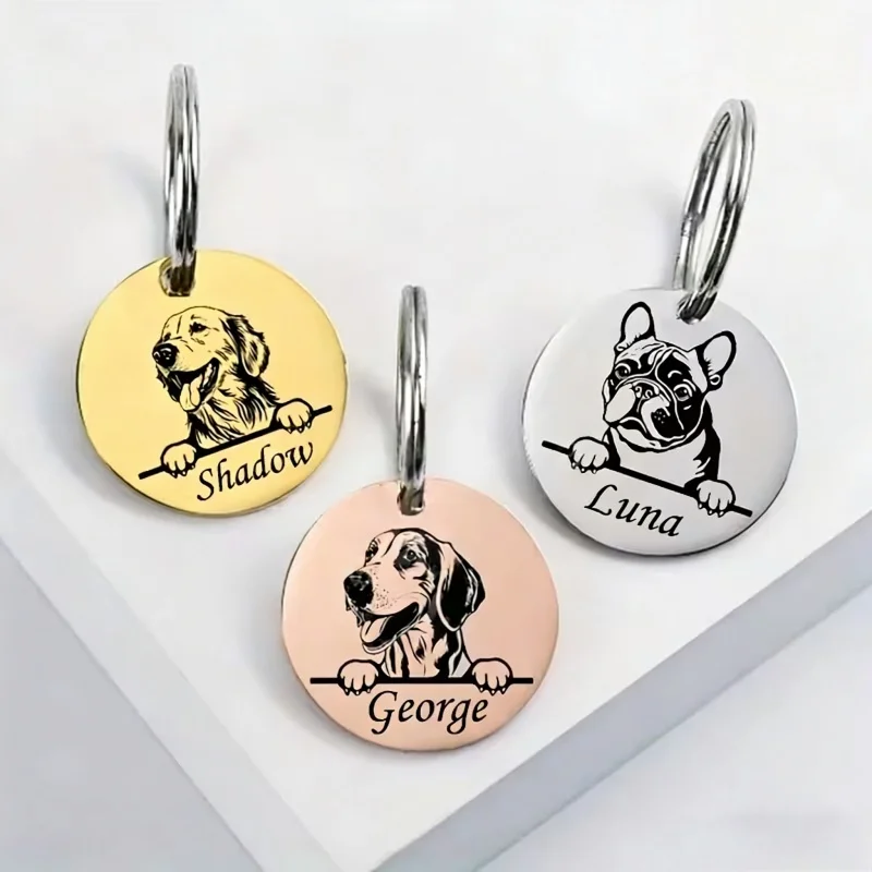 Custom Pet Name Puppy Anti-lost Collars Personalized Cute Engraving Stainless Steel Tag Dog Cat Name Tag Pets Dog Accessories view 2