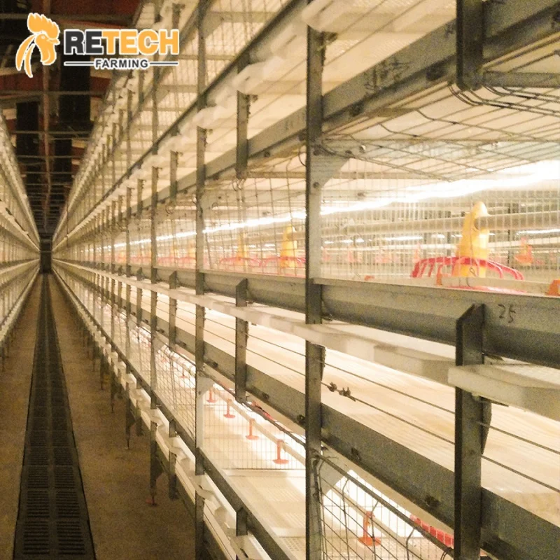 自動耐久性家禽農場H型ブロイラー鶏用バタリーケージ