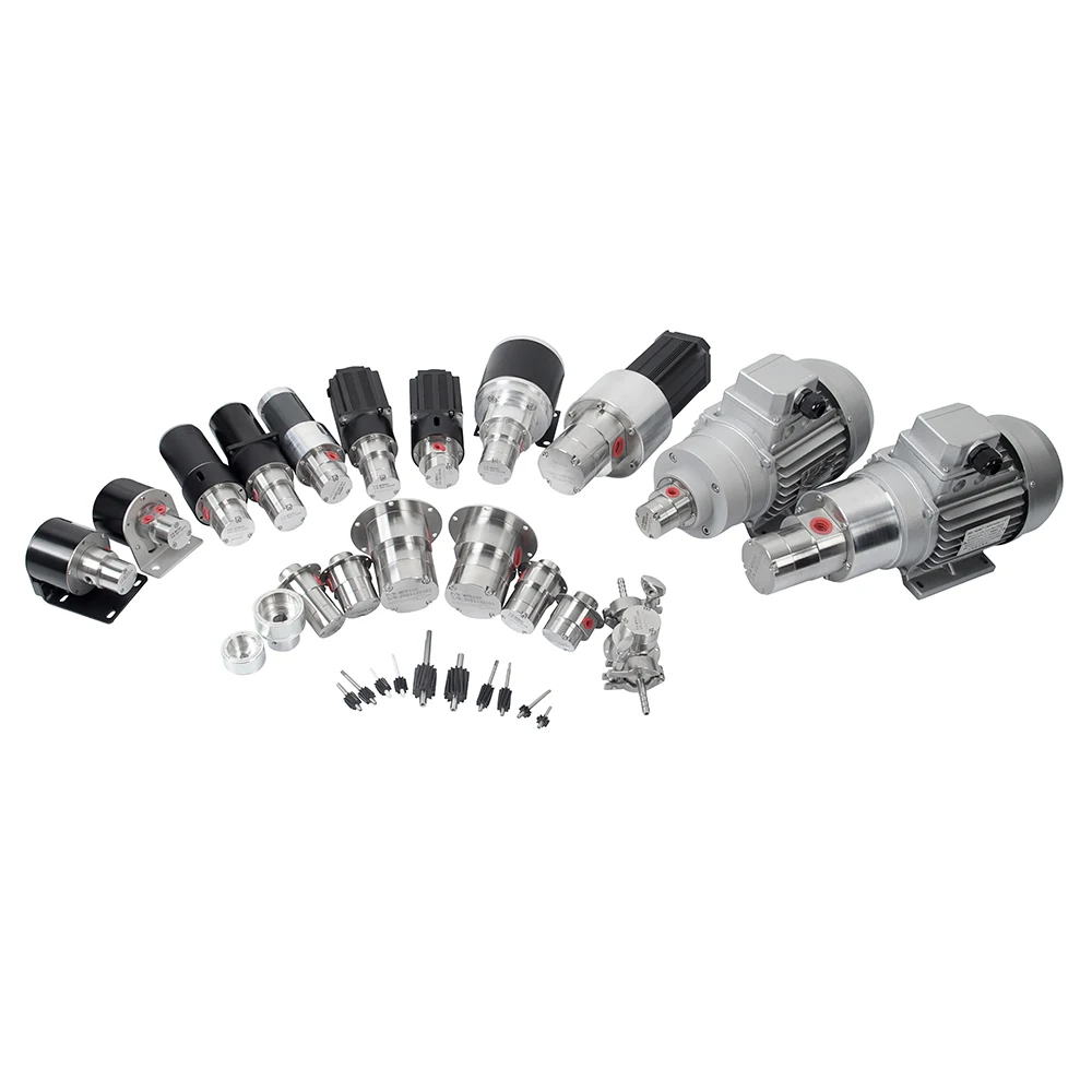 CHKJ-2025NEWPersonalizzazione del peso leggero Commestibile MPB060 Dotato di pompa a ingranaggi motore ad alte prestazioni da 60 W idraulica per farmaceuti