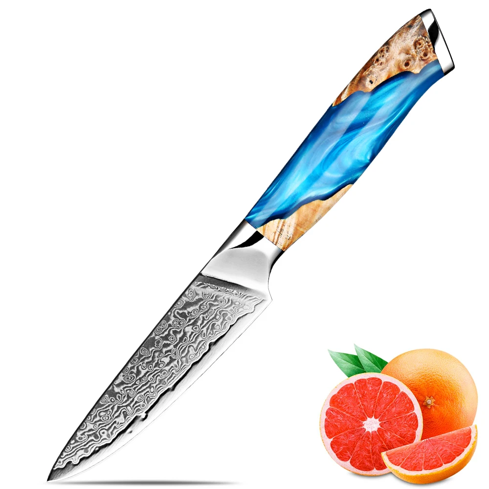 XITUO Professional Japanese 3.5 Inch Fruit Knife Damascus Steel Sharp Paring Deboning Knife Blue Resin Stabilized Wood Handle