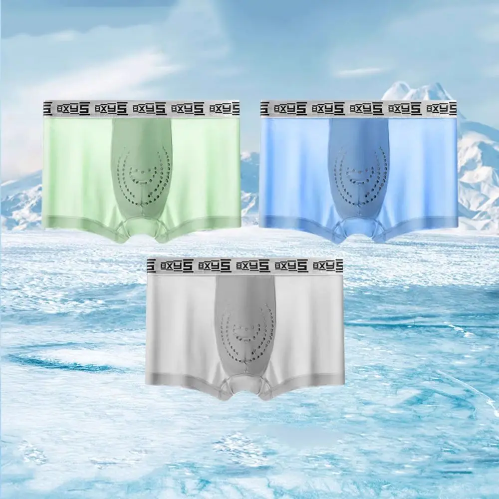 

3Pcs Fashion Mesh Men's Flat Panties Mid Waist Traceless Shorts Boxers Ice Silk Underpants Seamless Briefs Gift
