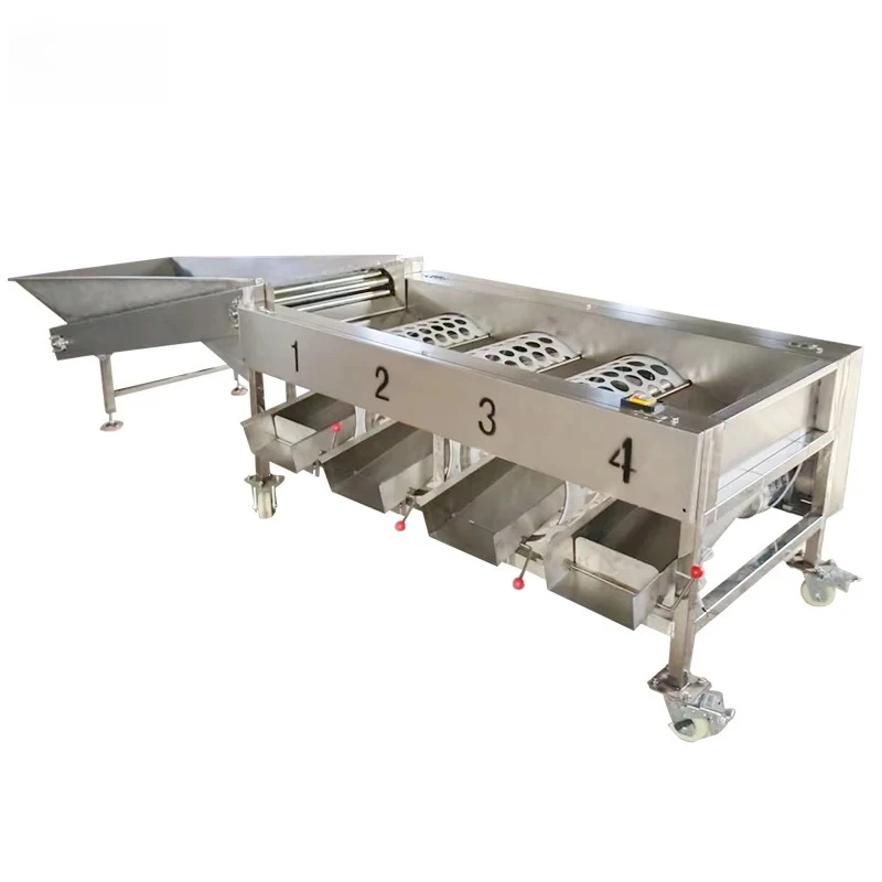Industrial Fruit Vegetable Grading Machine Sizing Sorting Equipment For Date Cherry Persimmon Efficient Washing Size Machine