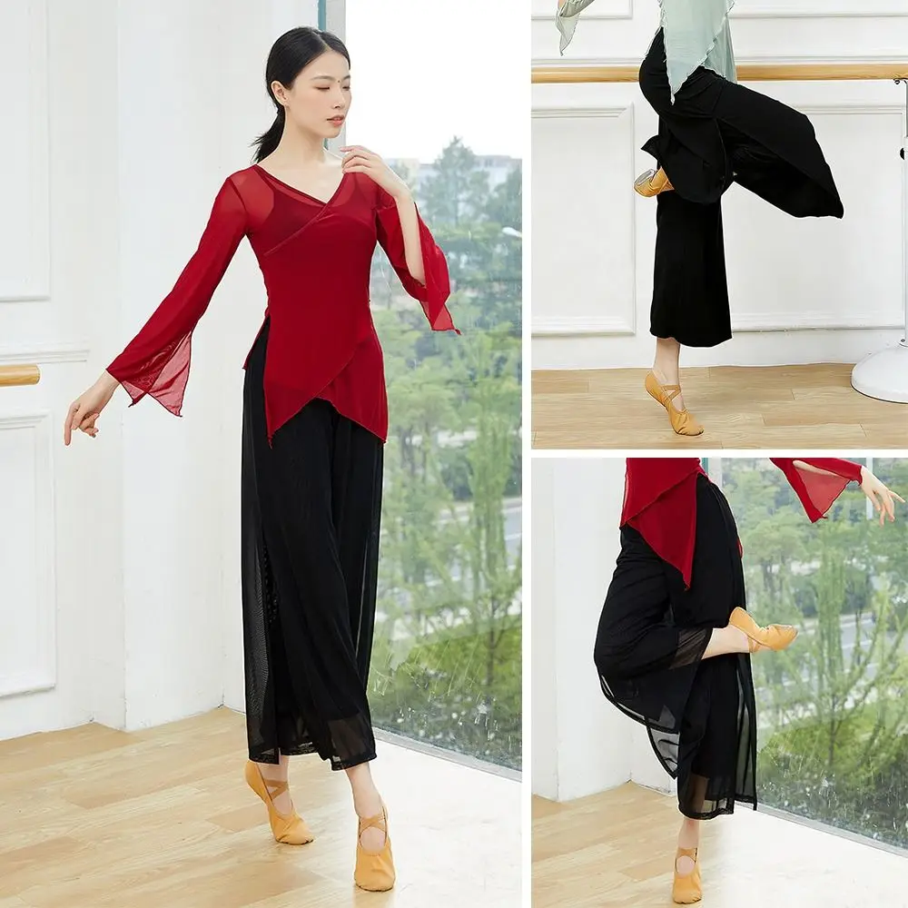 

Fashion Loose Dance Pants Mesh Nylon Chinese Classical Yoga Trousers Stage Performance Elegant Fitness Pants Women