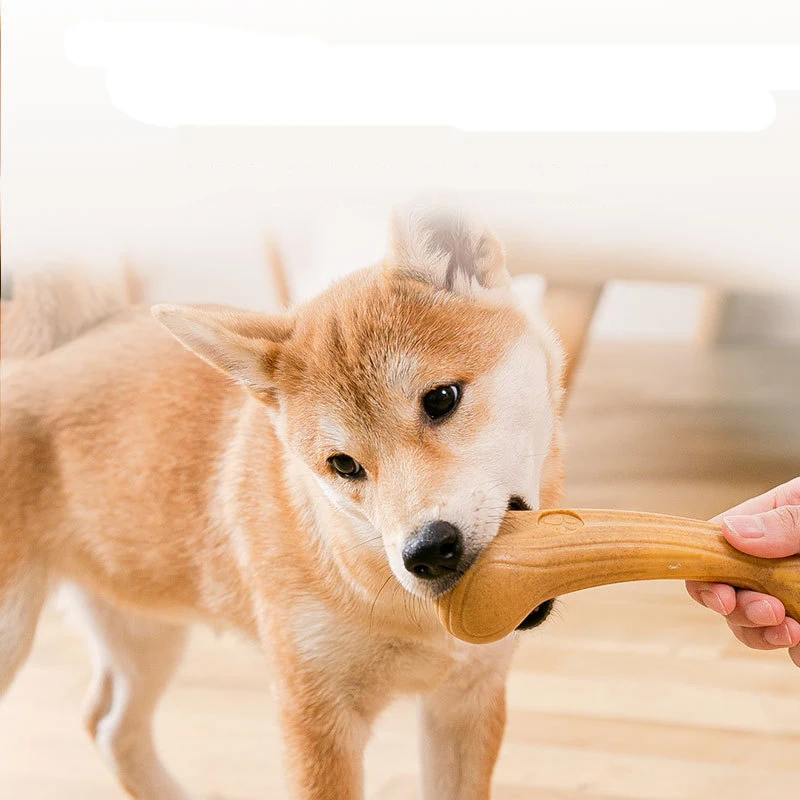 Pet Dog Chew Toys Molar Teeth Clean Stick Interesting Pine Wood Cute Bone Shape Durable Bite Puppy Interactive Toy Pet Supplies