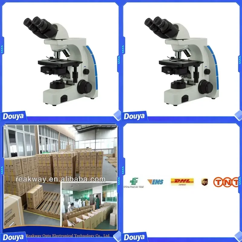 High Quality Low Price 40x-1000x Trinocular Lab Biological Microscope