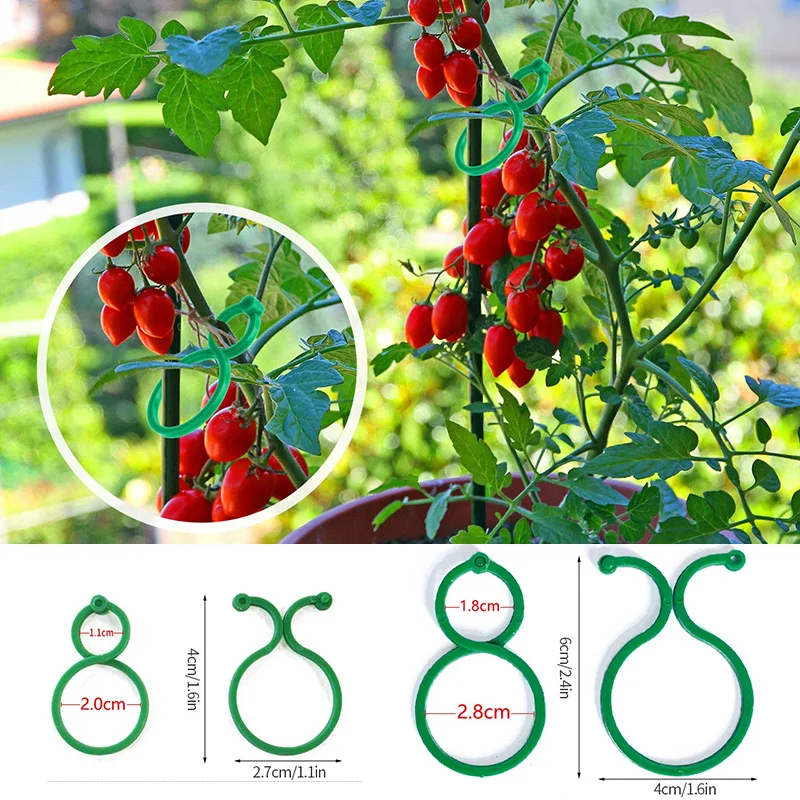 Clips de fijación de plástico para plantas, herramientas de soporte para plantas, escaladores de vid, accesorios de jardinería, tomatovegetales, 50