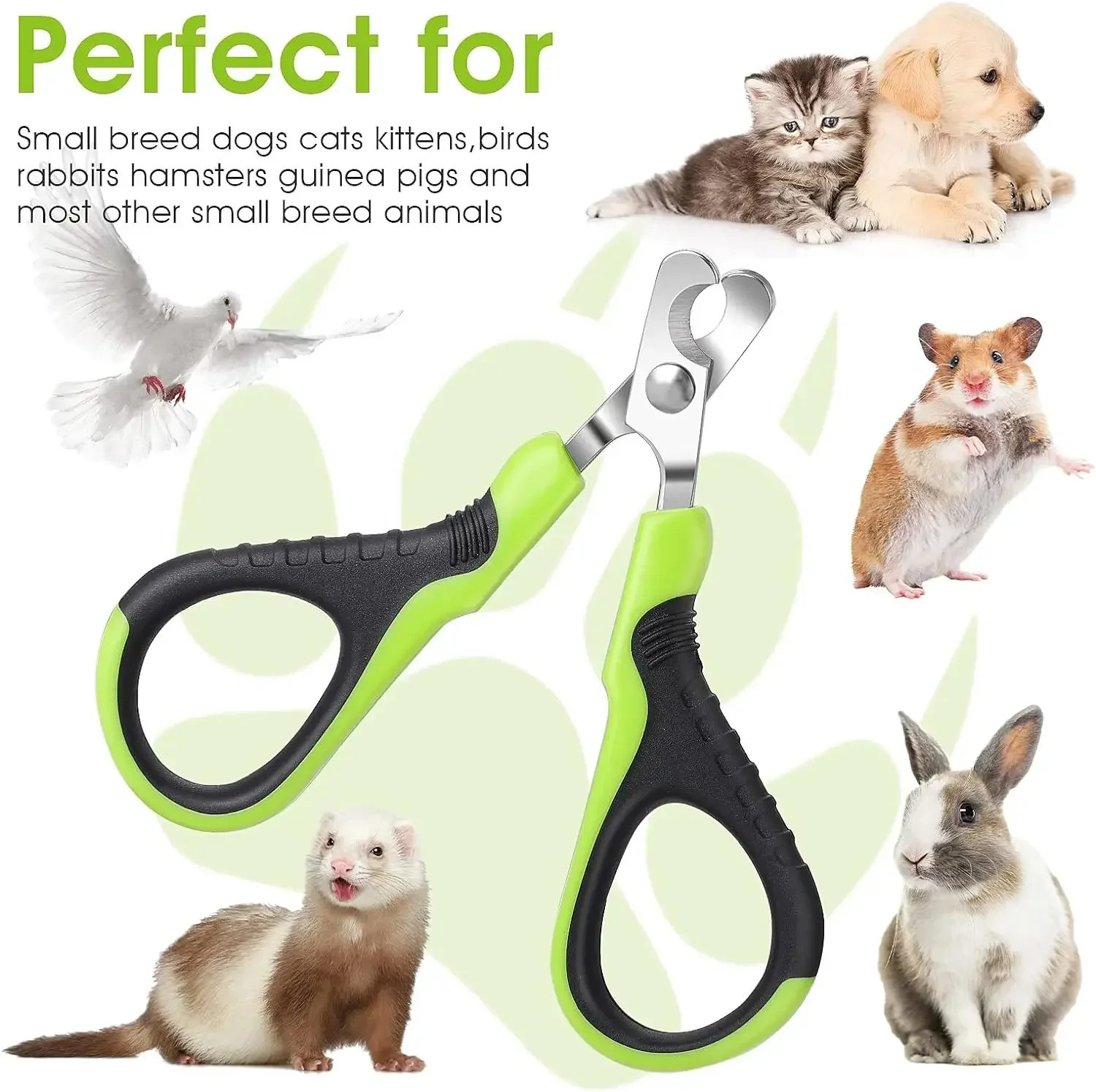 Coupe-ongles en acier inoxydable pour animaux de compagnie, ciseaux pour chien, coupe-griffes pour chat, outils de toilettage, fournitures générales pour animaux de compagnie