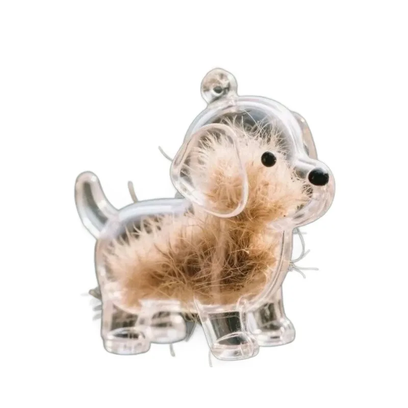 Conteneur Transparent de stockage de poils de chien, Adorable pendentif de Capsule de souvenir d'animal de compagnie avec porte-clés pour les amoureux des animaux de compagnie, porte-clés commémoratif DIY