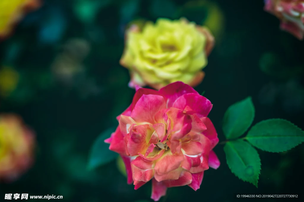 

Комплект для модернизации: корпус трансмиссии и шестерни для радиоуправляемых моделей LOSI 1/24 Micro-B, запчасти для радиоуправляемых машин