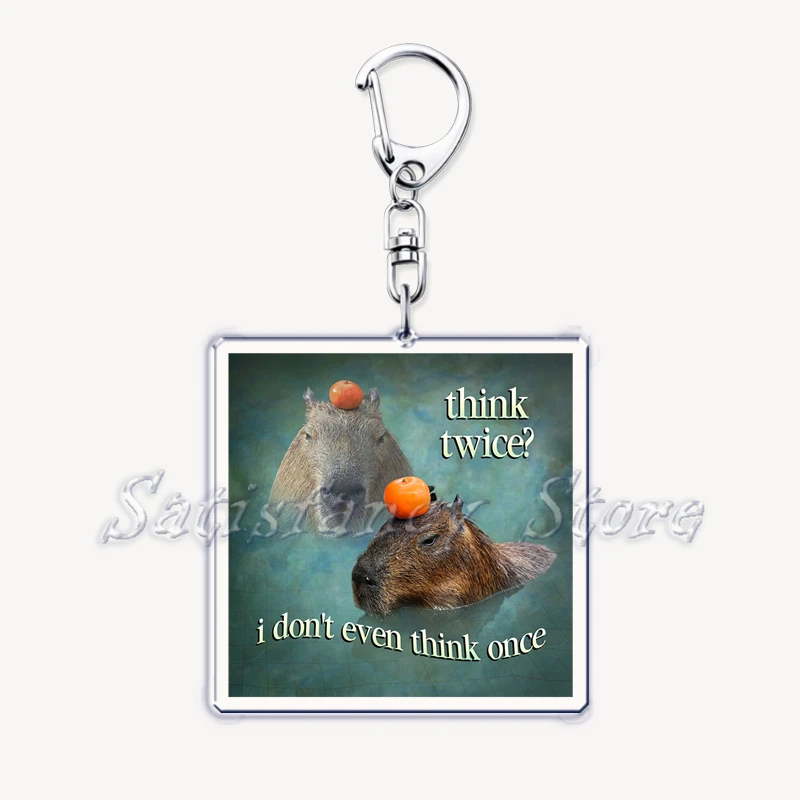 Funny Possum Hamster Raccoon Cat Meme Acrylic Keychains Keyring for Accessories Bag Pendant Key Chain Ring Jewelry Fans Gifts