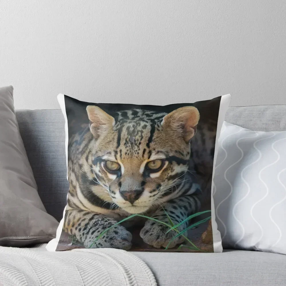 

Ocelot Throw Pillow Cushions Home Decor Pillow Case Christmas Christmas s Covers christmas decorations 2025 pillow