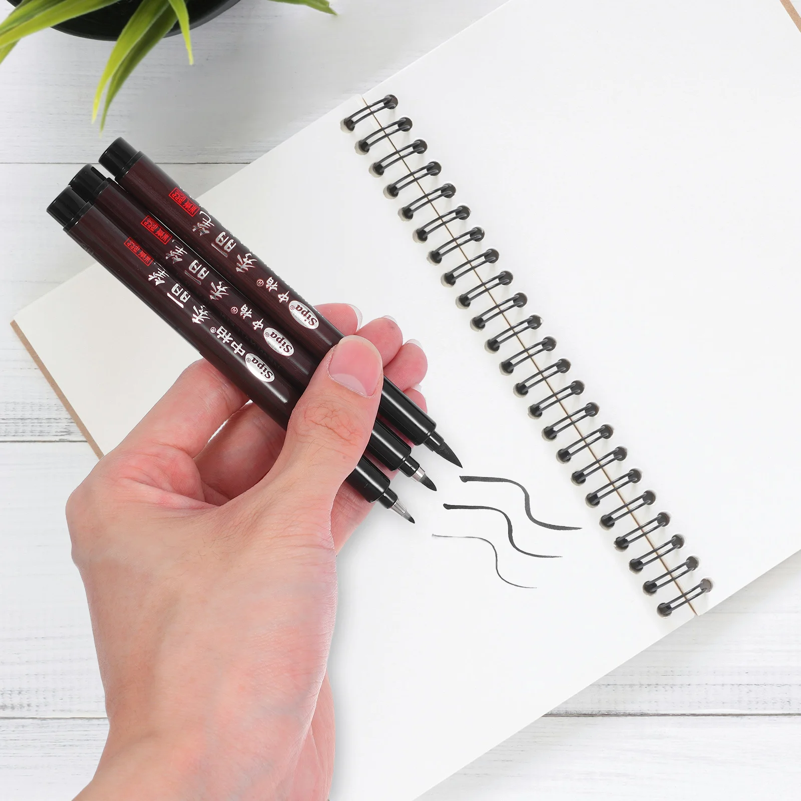 6Pcs Chinese Calligraphy Brush Set for Intricate Details Professional Use Watercolor Lettering Paint Pen Water Brush Pen