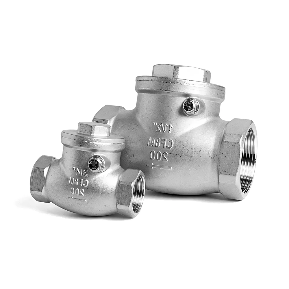 BSP Internal Thread Swing Check Valve - SS304/316L Non-Return for 1/4