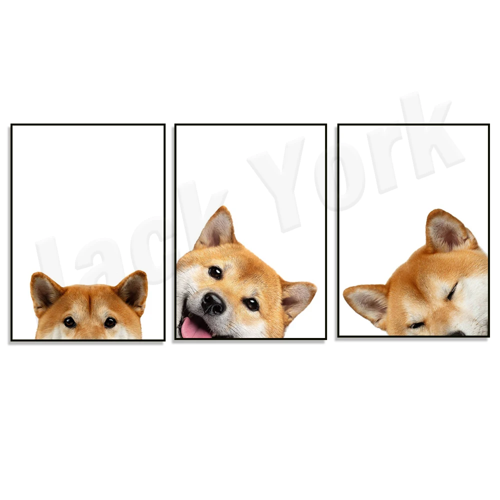 Japanese Shiba Inu Dog Peeking Canvas Painting Poster and Prints Wall Art Picture for Living Room Bedroom Home Decor Dog