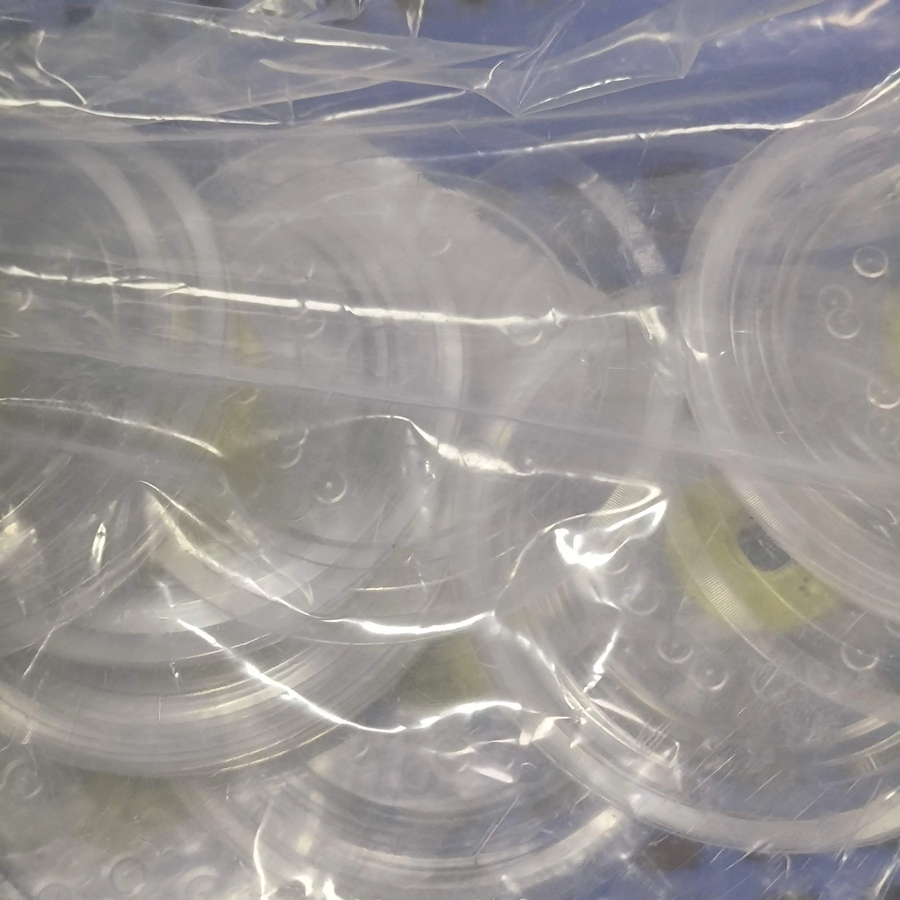 

10X 1571785 Диск ГРМ кодера для EPSON L1110 L3110 L3115 L3116 L3150 L3156 L5190 M1100 M1120