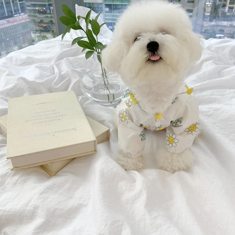 

Pet Raincoat Summer Waterproof Clothes Puppy Rain Poncho Teddy Open Button Shirt Poodle Rainy Day Travel Magic Weapon