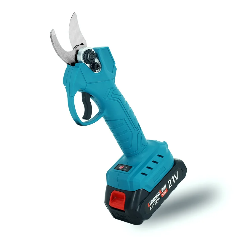 Professional Cordle…