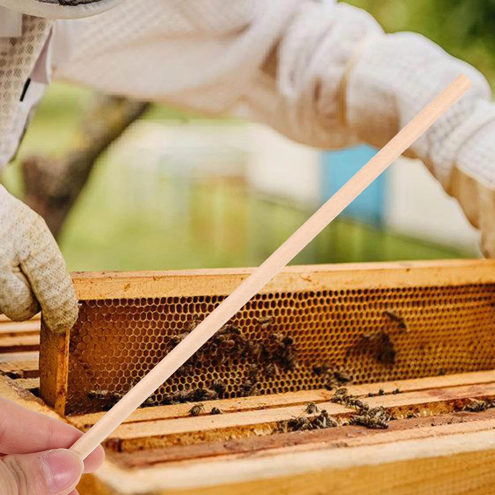 

100 шт. натуральных сменных трубок для ульев, трубки-вкладыши для пчелиных гнезд, принадлежности для пчеловодства, для использования на улице