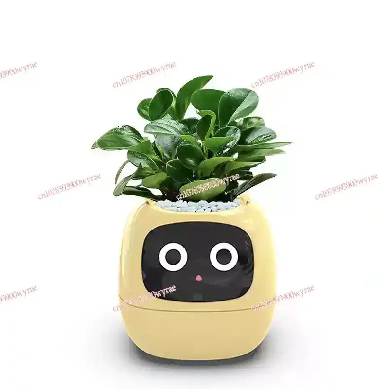 Home Garden Flower Pots Creative interaction mini smart garden indoor Smart flower planter APP Internet control Flowerpot