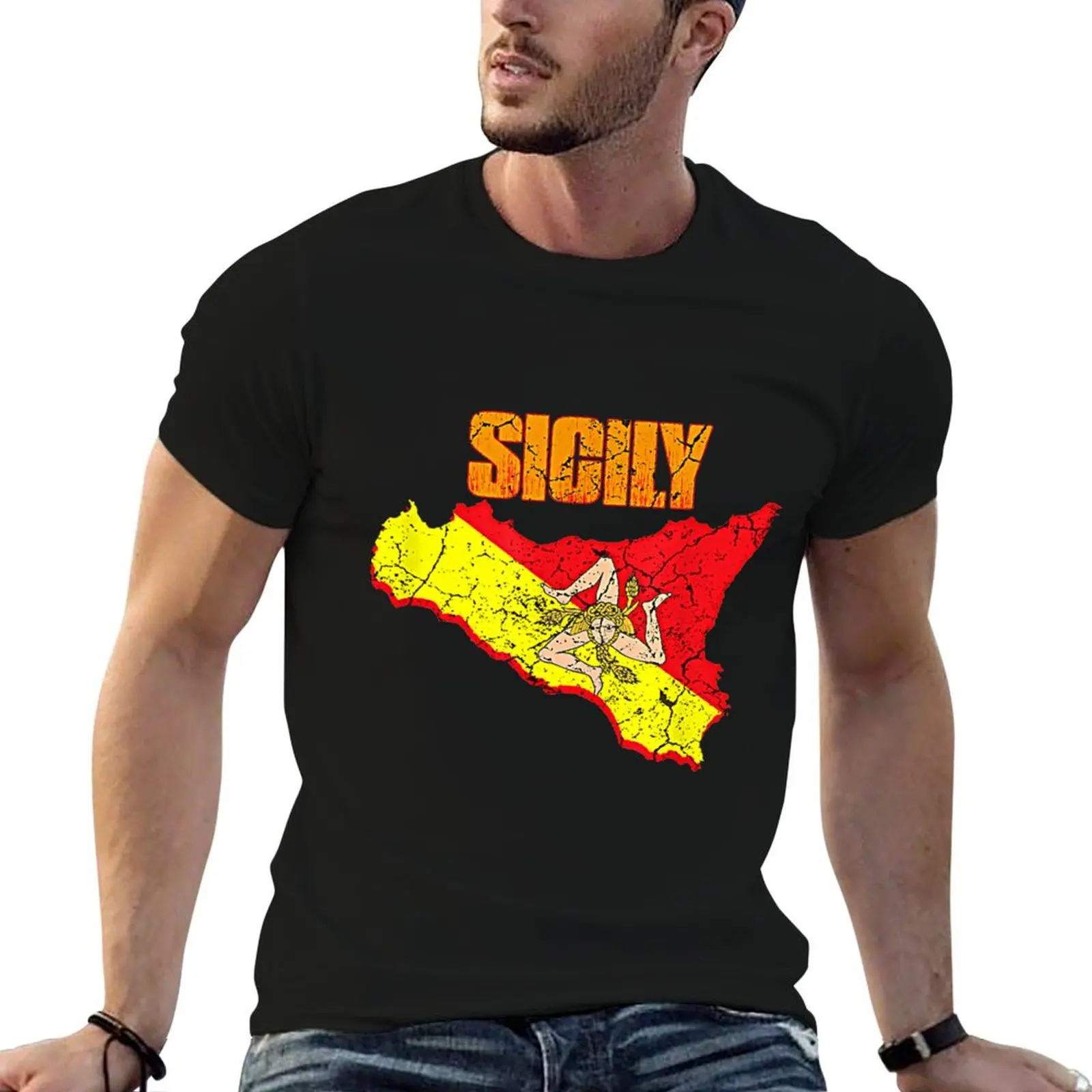 Sicilian Trinacria Sicilia Flag Italian Italy Pride T-Shirt Basic Regular Fit Casual T-Shirt
