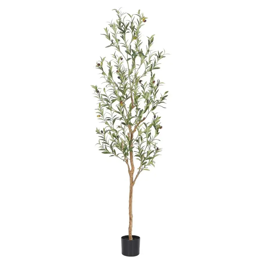 

Faux Olive Tree 6ftOlive Trees Artificial Indoor with Natural Wood Trunk and Realistic Leaves and Fruits. 6 Feet72in Fake Olive